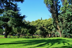 Lawn Park, Pretoria